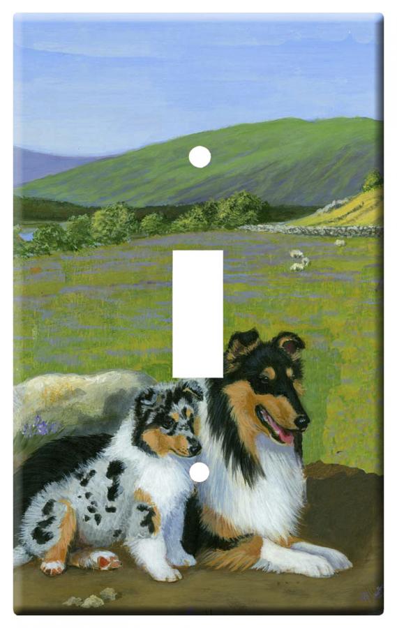 collie 2a-slsp