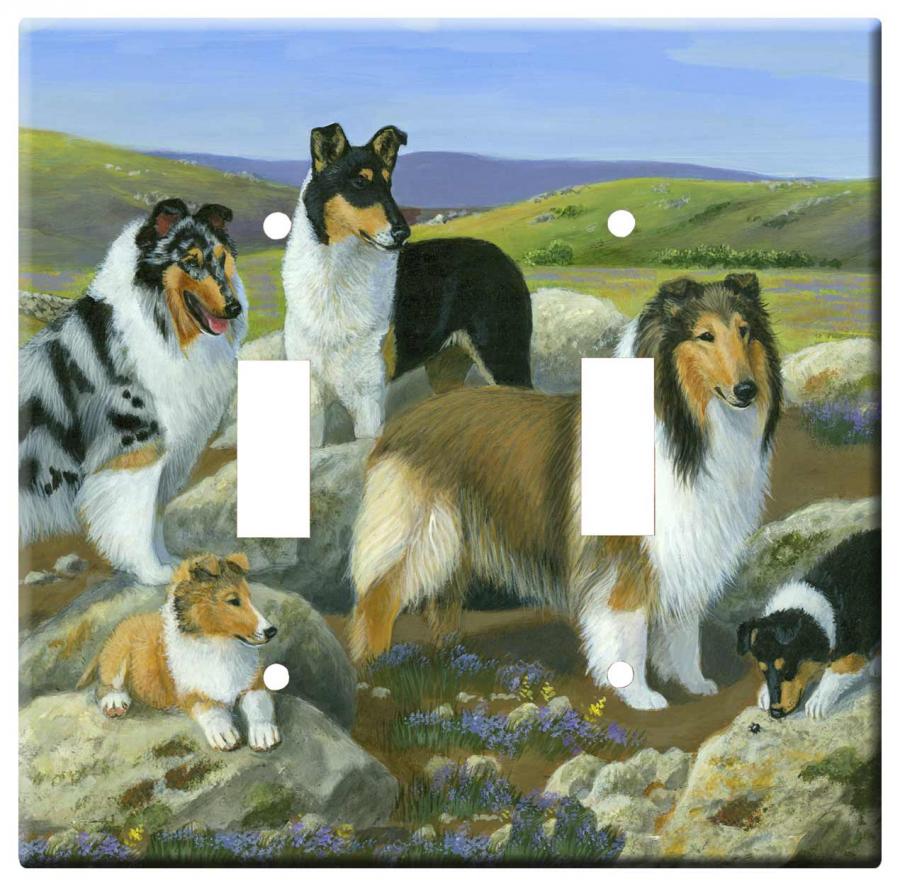 collie 3a-dlsp