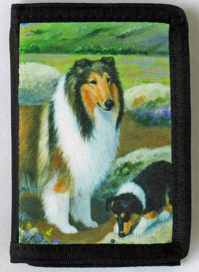 Collie 3B trifold