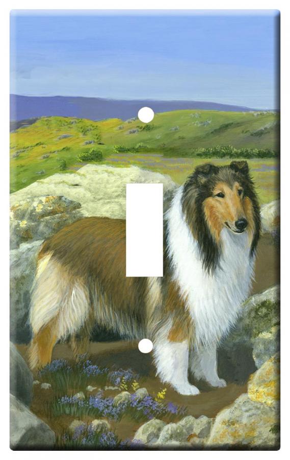 collie 3d-slsp