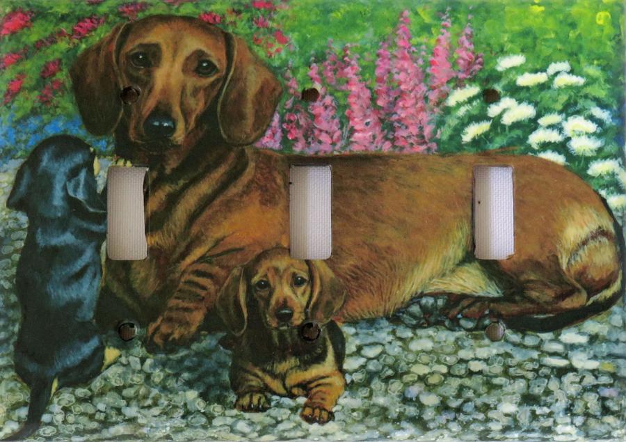 Dachshsund 4A TLSP-P