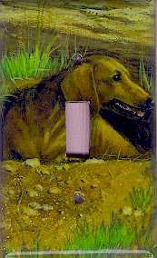 Dachshund Picture Single Light Switch Plate #1A