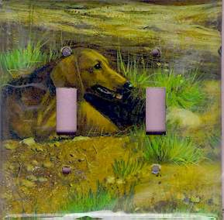 Dachshund Picture Double Light Switch Plate #1B