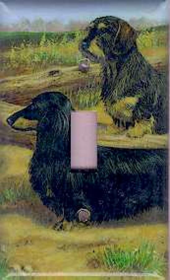 Dachshund Picture Single Light Switch Plate #1B