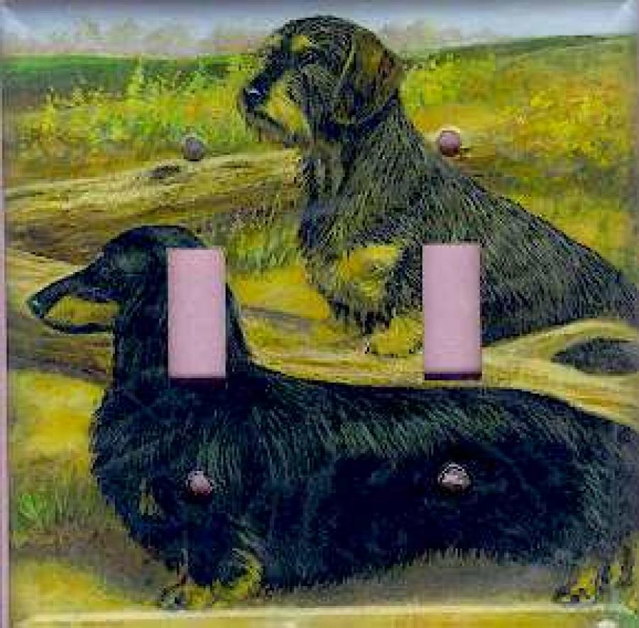 Dachshund Picture Double Light Switch Plate #1C