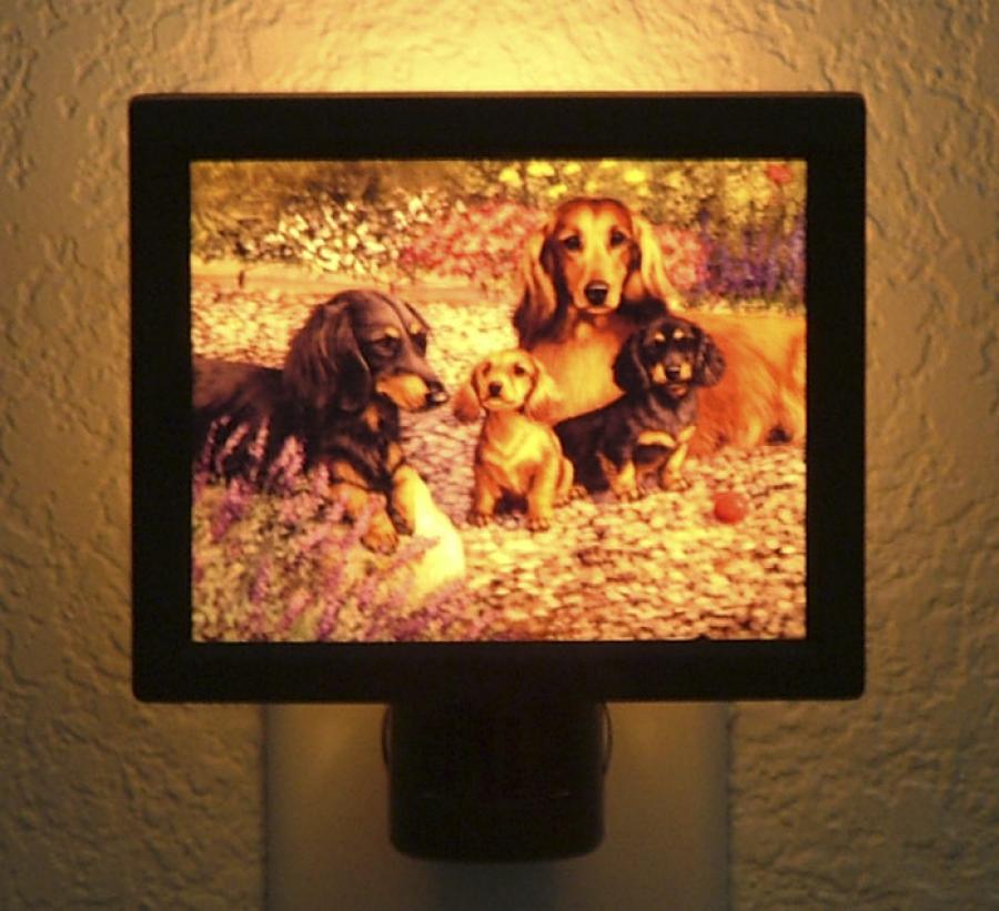 Dachshund Picture Nightlight #2