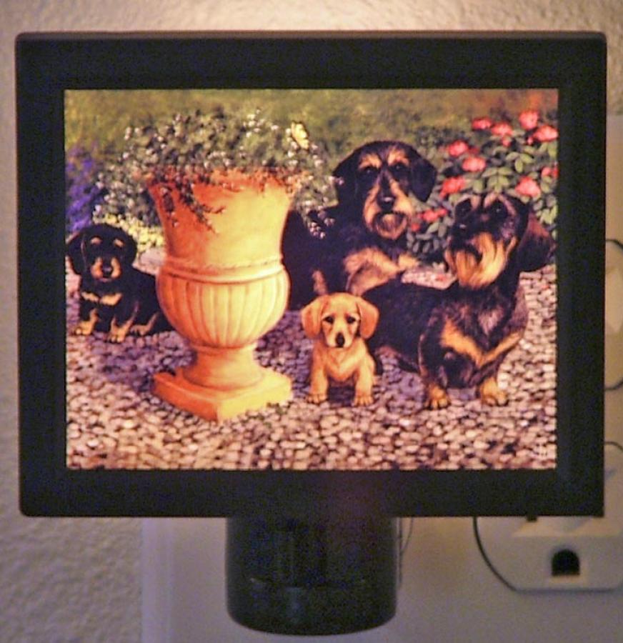 Dachshund Picture Nightlight #3