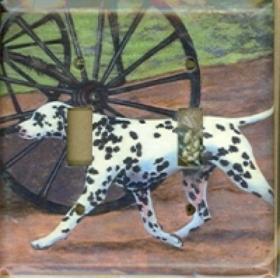 Dalmatian 1A DLSP-P