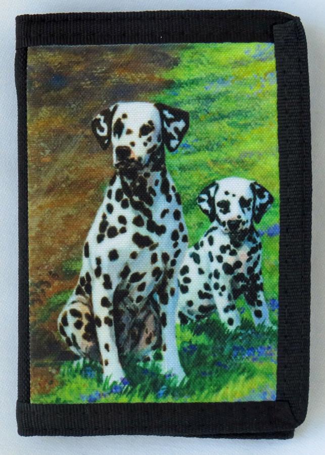 Dalmatian 2B trifold