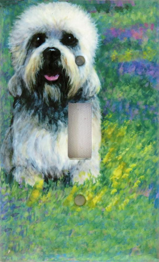 Dandie 1B SLSP-P