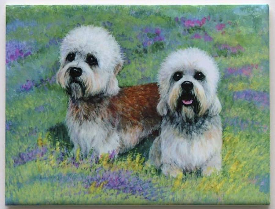 Dandie #1 Ceramic Picture Tile