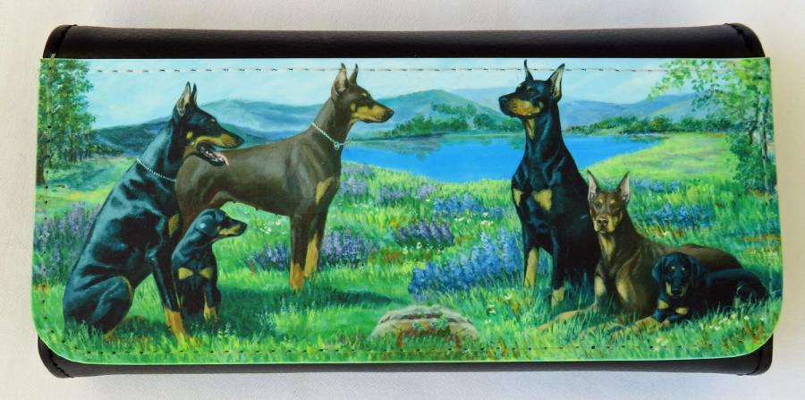 Dobe 5-6 glasses case