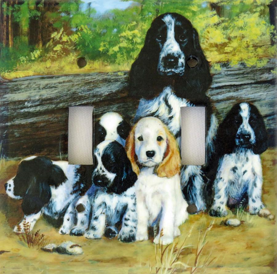 English Cocker 1A DLSP-P