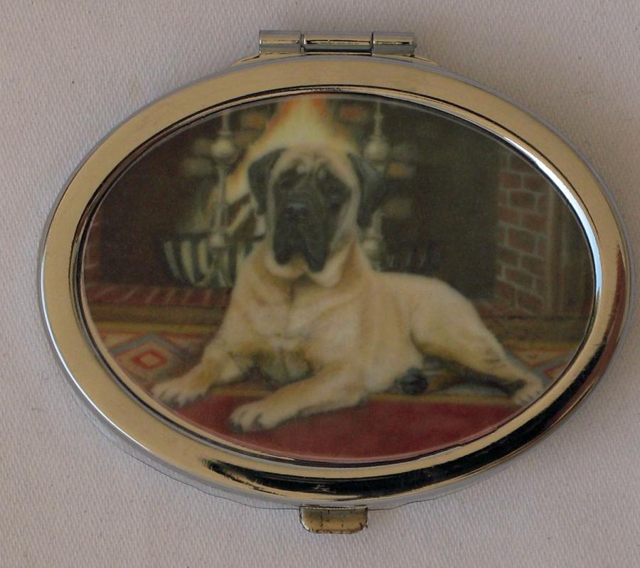 English Mastiff 1 compact
