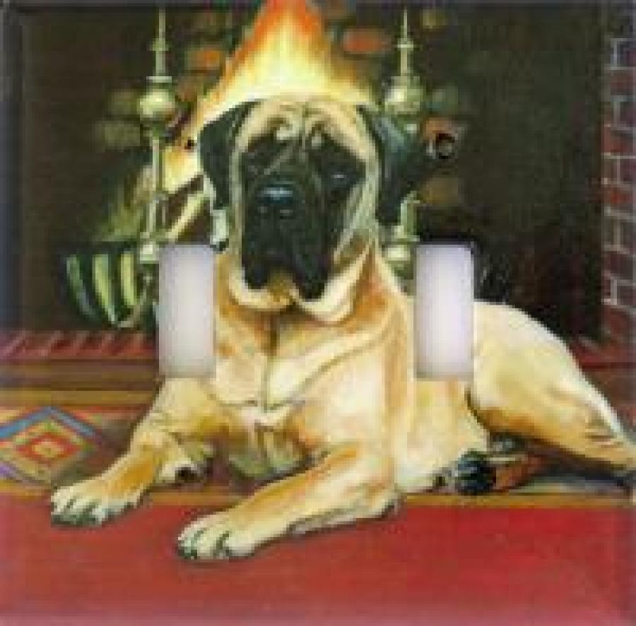 English Mastiff 1A DLSP-P
