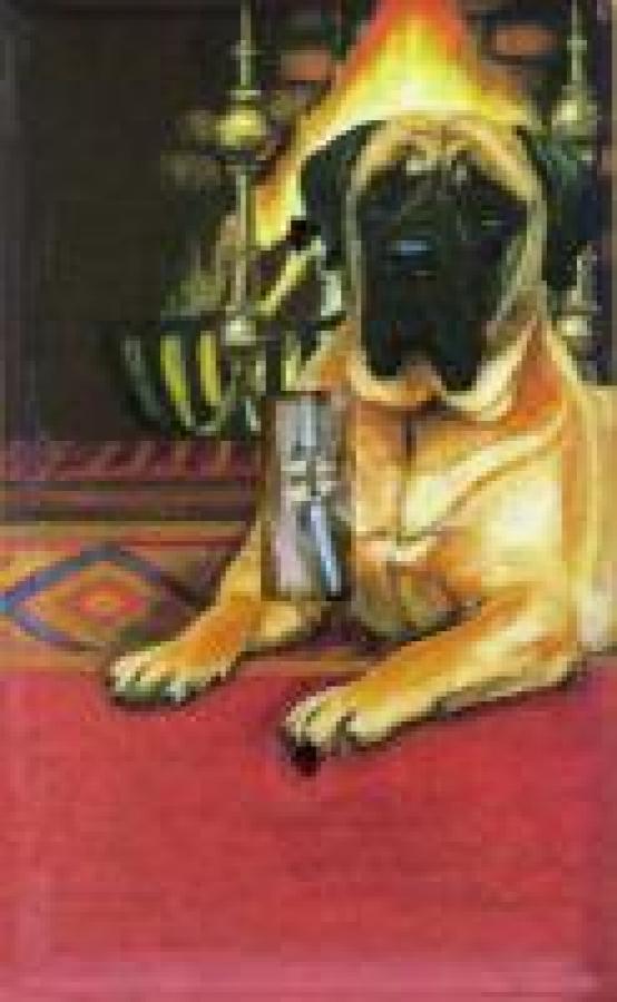 English Mastiff 1A SLSP-P