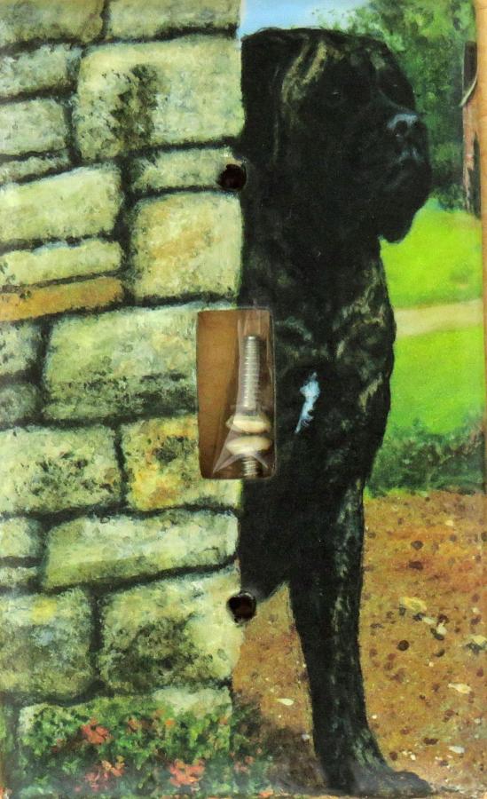 English Mastiff 2A SLSP-P