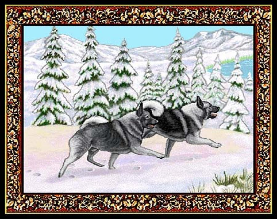 Norwegian Elkhound 1 Single Tapestry Placemat