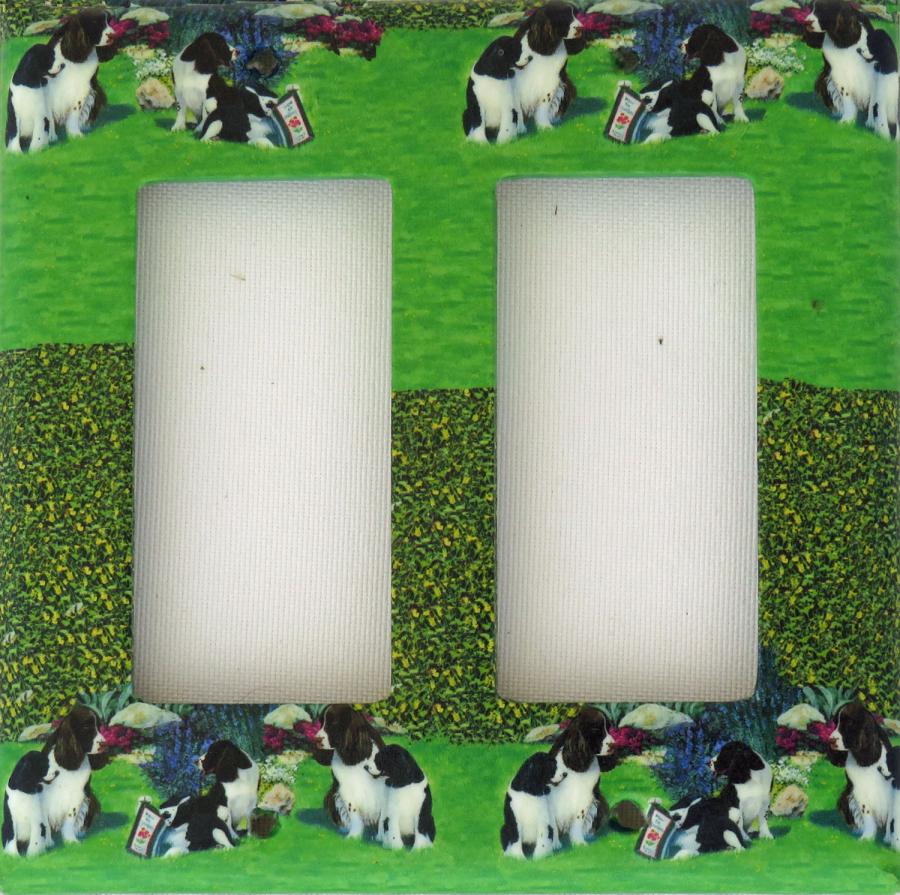 English Springer 1A RDLSP-P