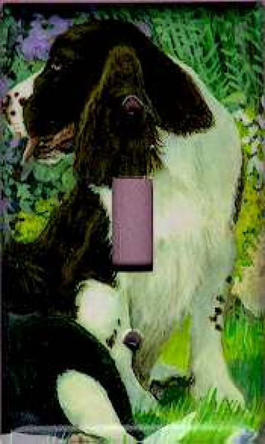 English Springer Picture Single Light Switch Plate #1D