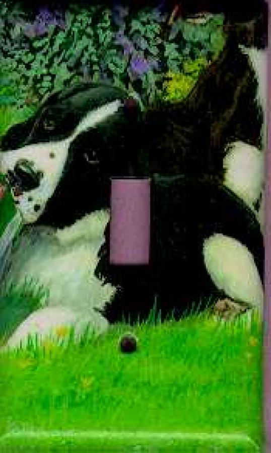 English Springer Picture Single Light Switch Plate #1E