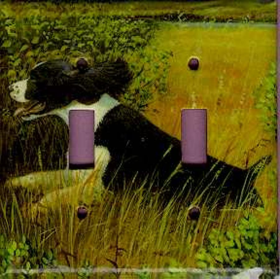 English Springer Picture Double Light Switch Plate #2A