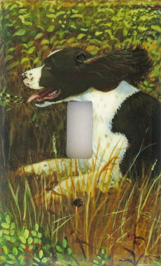 English Springer 2A SLSP-P