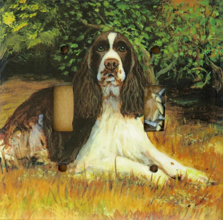 English Springer 3A DLSP-P
