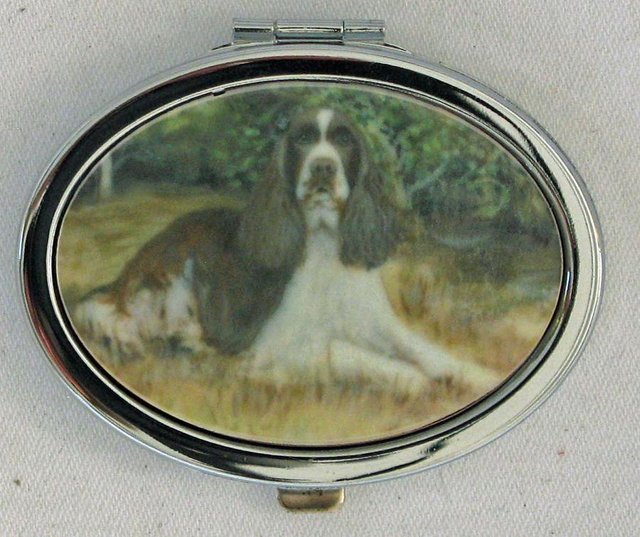 English Springer 3A compact