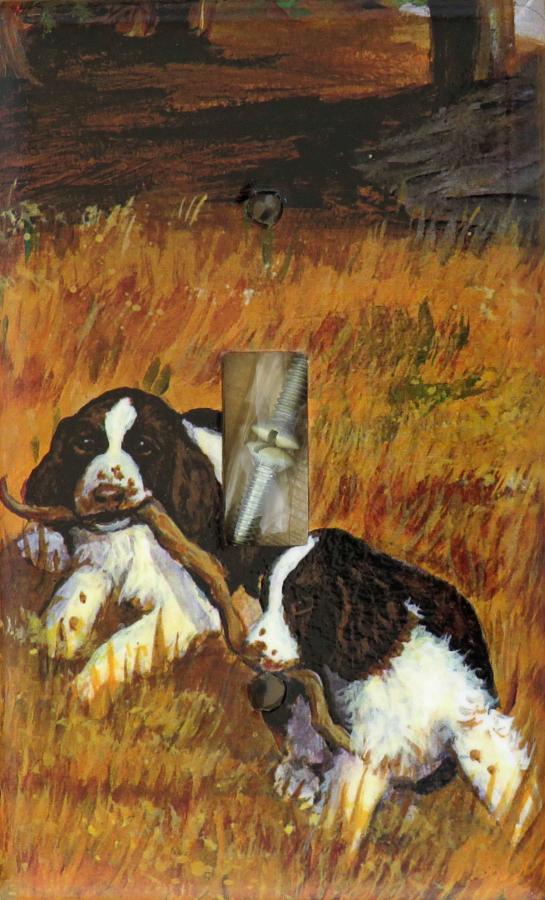 English Springer 3B SLSP-P