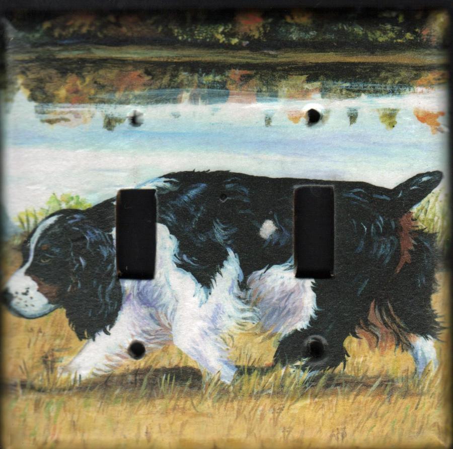 English Springer 4A DLSP-P
