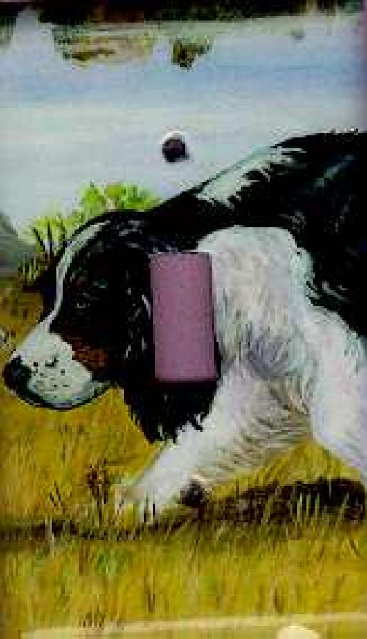 English Springer Picture Double Light Switch Plate #4A