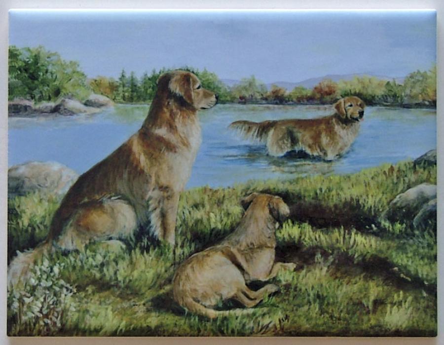 Golden Retriever tile