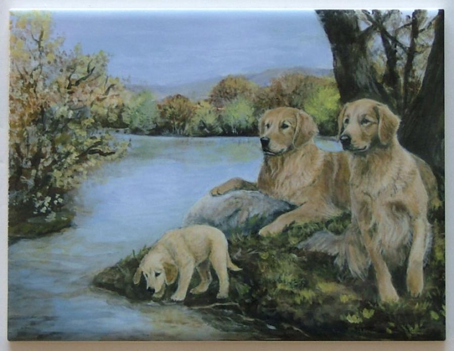 Golden Retriver 4 tile