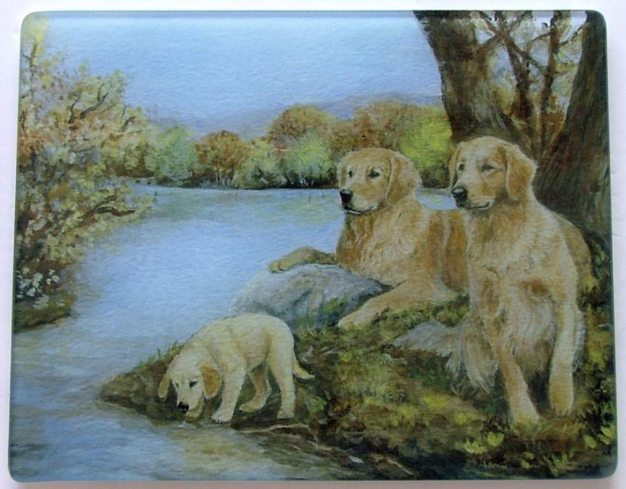 Golden Retriever 4 Tempered Glass Cutting Board