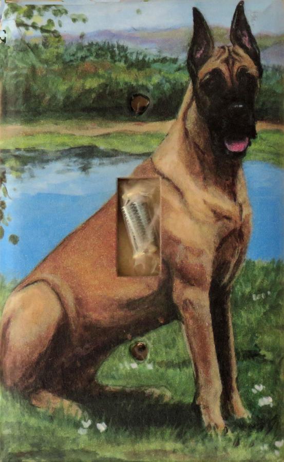 Great Dane 2A SLSP-P