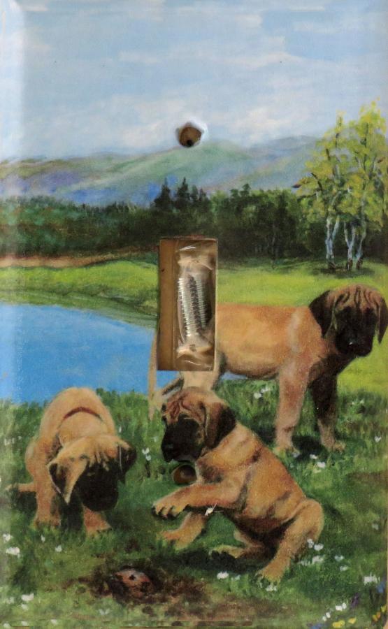 Great Dane 2B SLSP-P