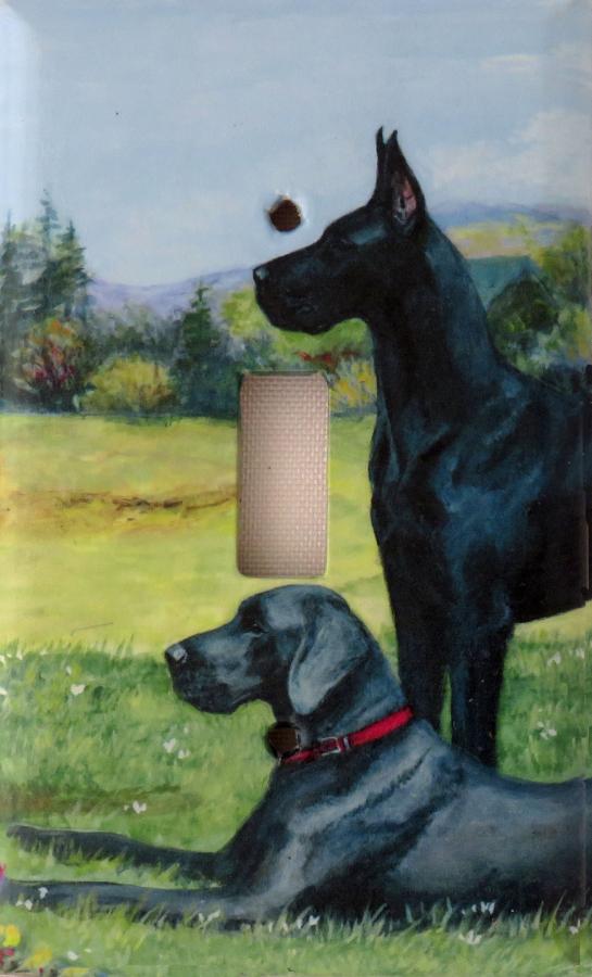 Great Dane 3A SLSP-P