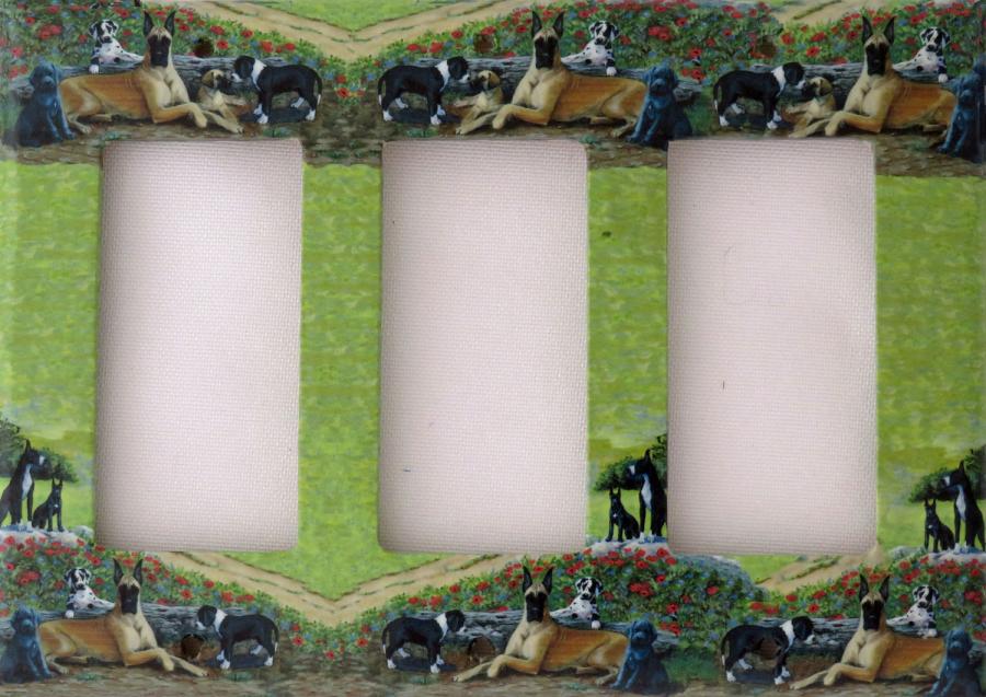 Great Dane 5A RTLSP-P