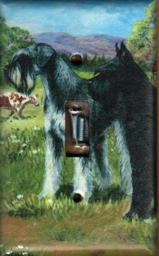 Giant Schnauzer 4A SLSP-P