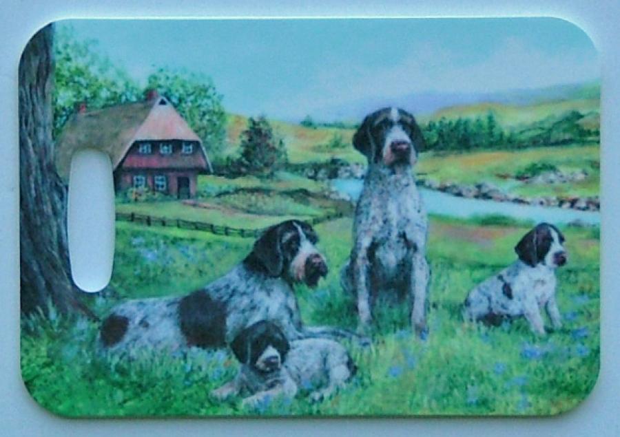 GWP Picture Luggage Tag #2 GWP 2-LT