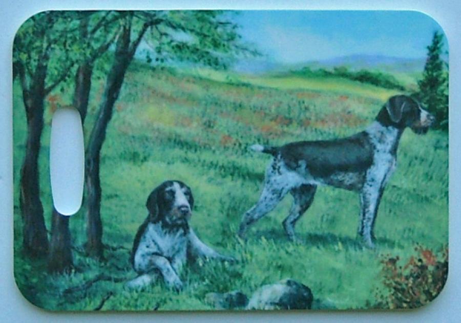 GWP Picture Luggage Tag #4 GWP 4-LT