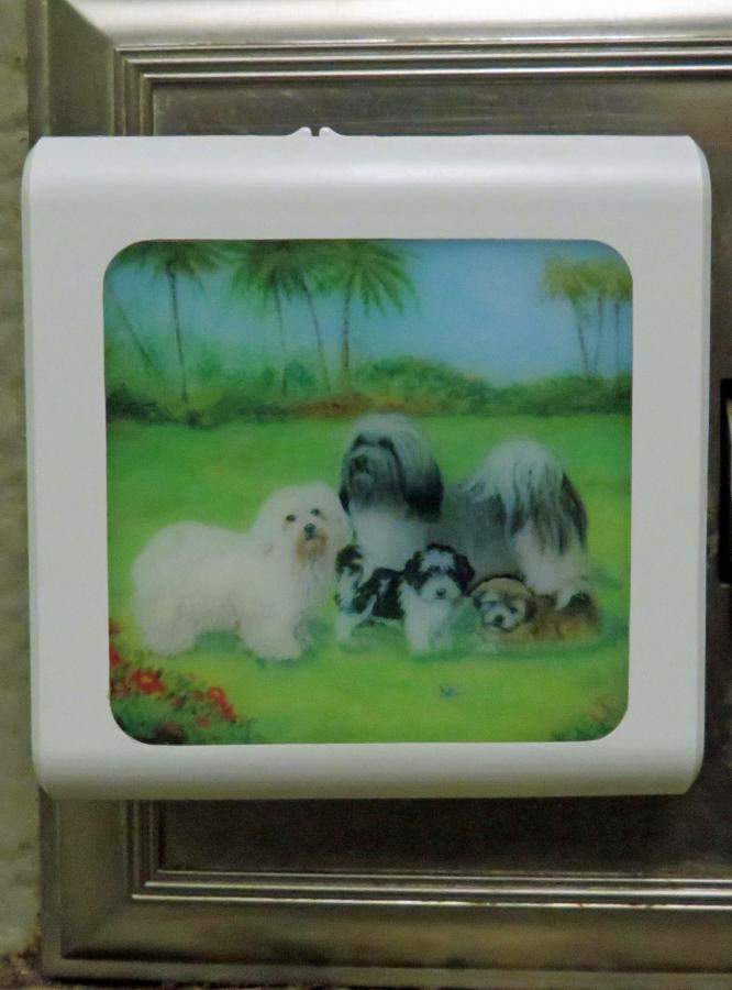 Havanese #4 nightlight-off
