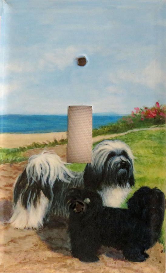 Havanese 1A SLSP-P
