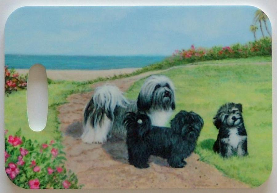 Havanese 1-LT