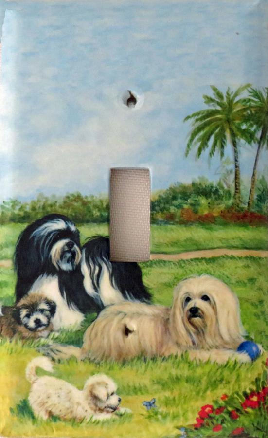 Havanese 2A SLSP-P