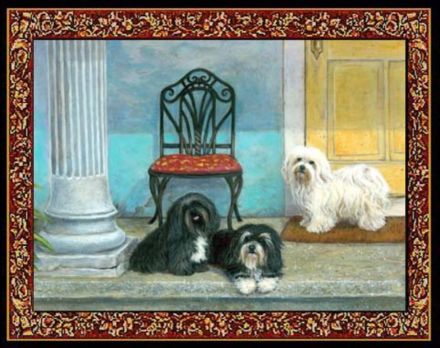 Havanese 3 Single Tapestry Placemat