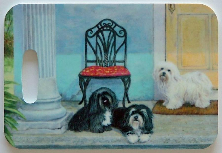 Havanese 3-LT