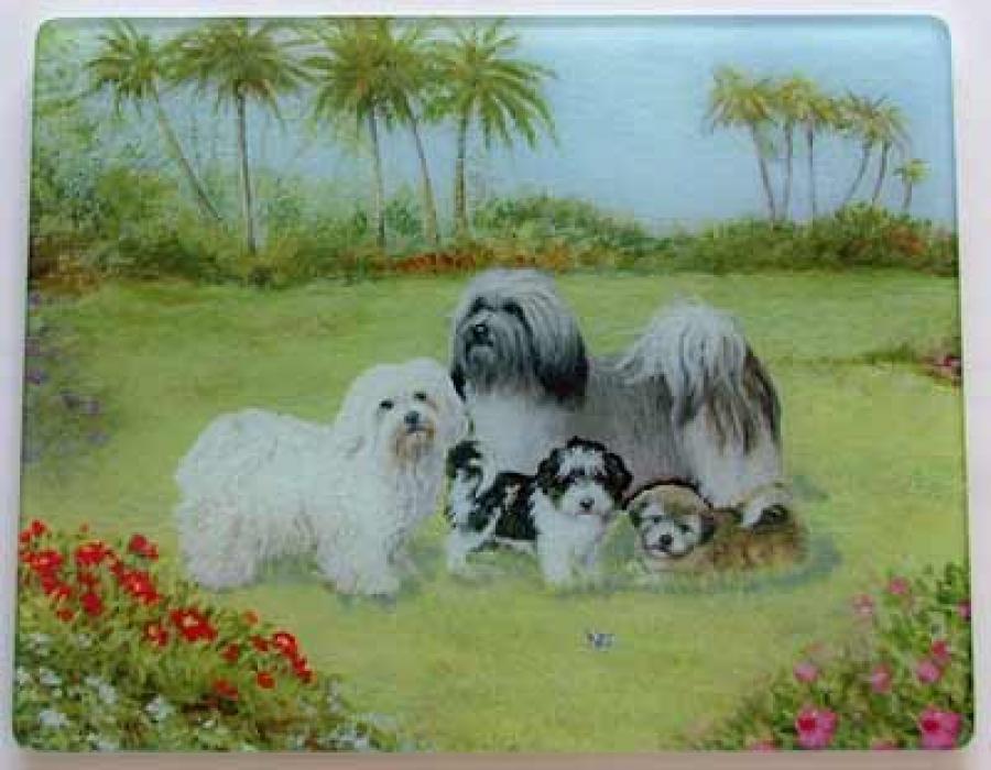 Havanese Glass Cutting Board #4