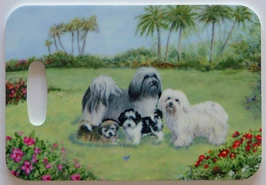 Havanese 4-LT